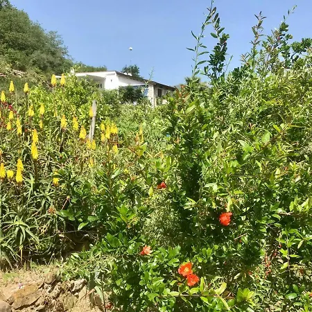 Via Molini 3 Km Zum Strand Priv. Parkplatz Apartment *